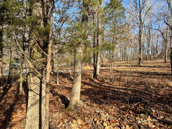 Tract 7 at Skyline Acres property photo