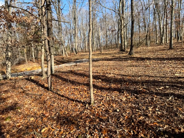 Tract 7 at Skyline Acres property photo
