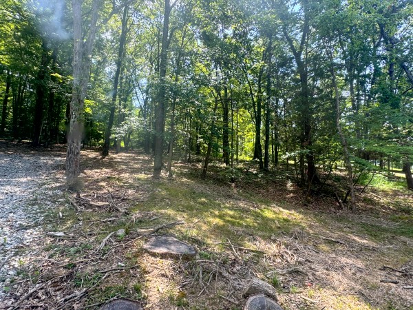 Tract 7 at Skyline Acres property photo