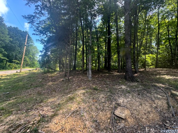 Tract 7 at Skyline Acres property photo