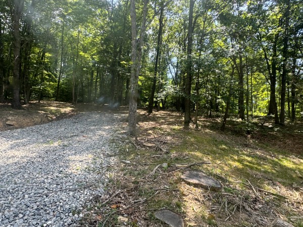More of Tract 7 at Skyline Acres