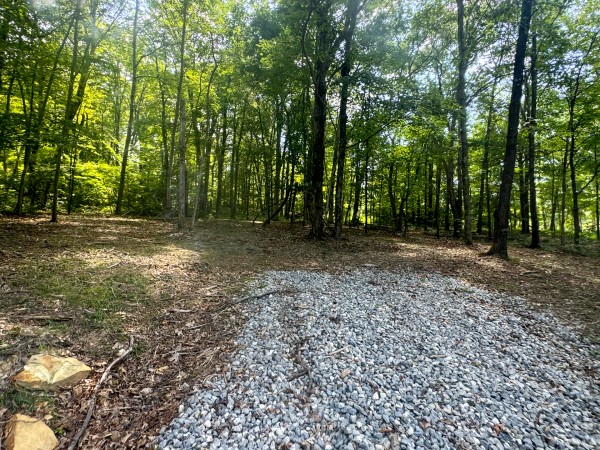 Tract 7 at Skyline Acres property photo