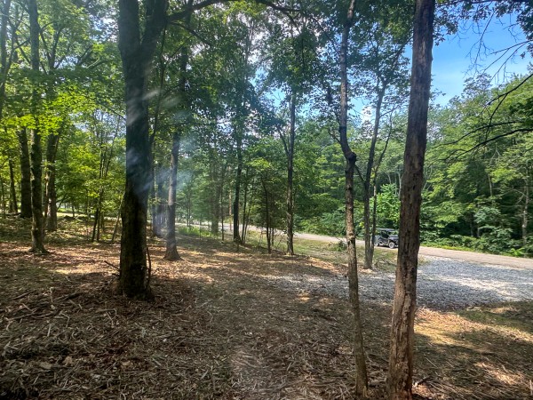 Tract 7 at Skyline Acres property photo