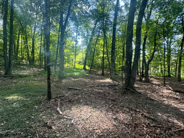 Tract 7 at Skyline Acres property photo
