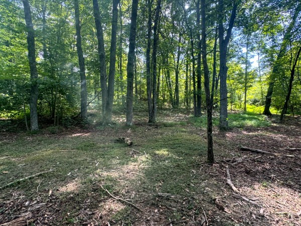 Tract 7 at Skyline Acres property photo