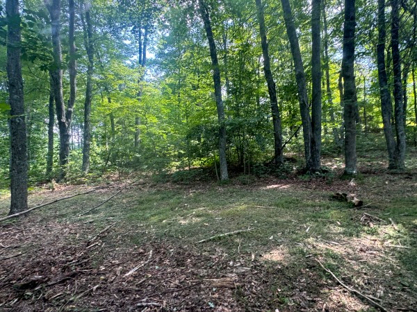 Tract 7 at Skyline Acres property photo
