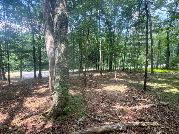 Tract 7 at Skyline Acres property photo