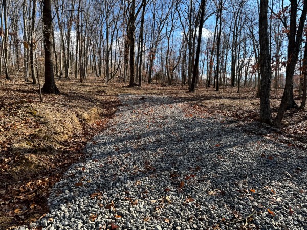 More of Tract 7 at Skyline Acres