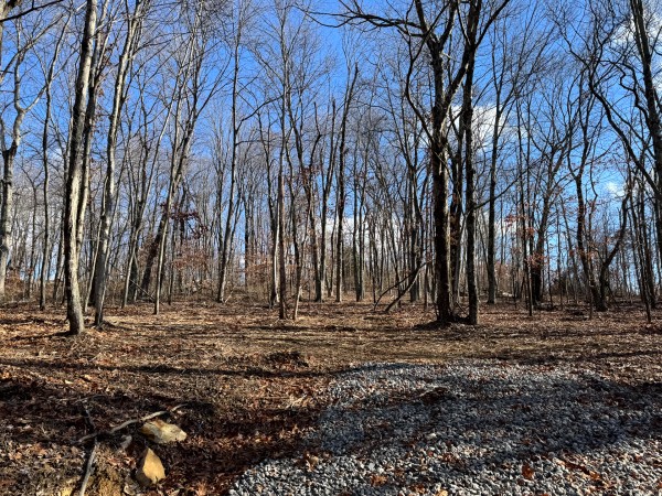 More of Tract 7 at Skyline Acres