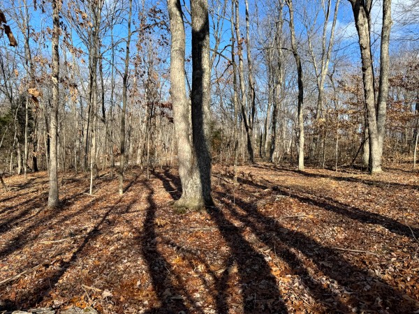 Tract 7 at Skyline Acres property photo