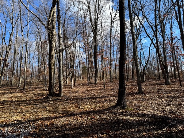 Tract 7 at Skyline Acres property photo