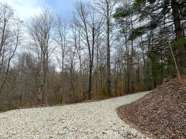 Lot 3 - The Woods at Turkey Run property photo