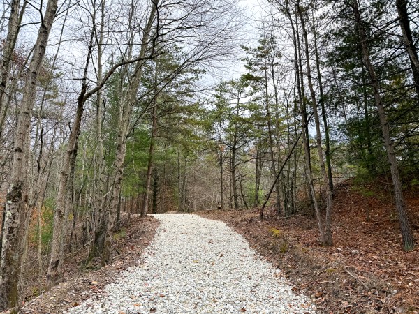 Lot 3 - The Woods at Turkey Run property photo