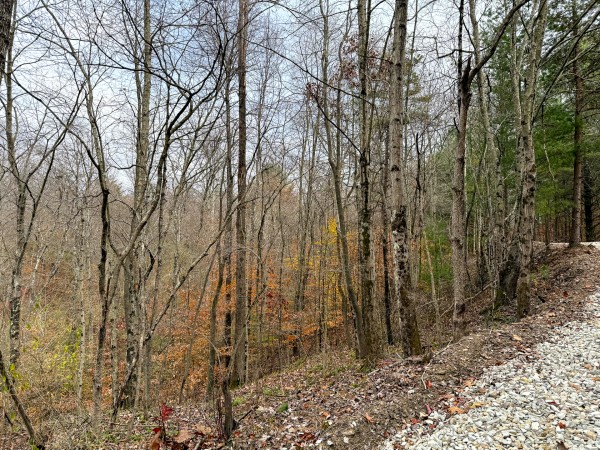 Lot 3 - The Woods at Turkey Run property photo