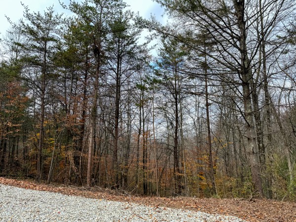 Lot 3 - The Woods at Turkey Run property photo