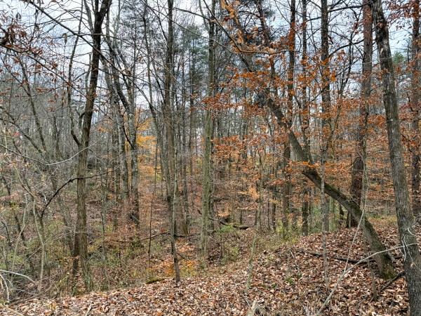 Lot 3 - The Woods at Turkey Run property photo