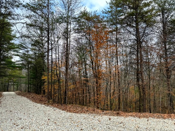 Lot 3 - The Woods at Turkey Run property photo