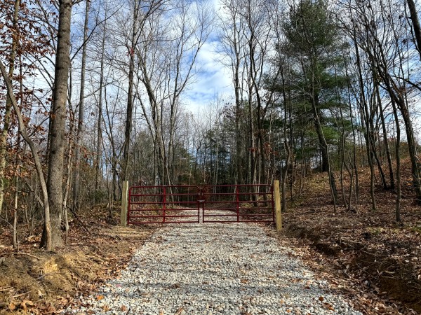 More of Lot 3 - The Woods at Turkey Run
