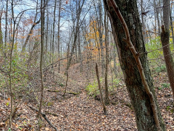 Lot 3 - The Woods at Turkey Run property photo