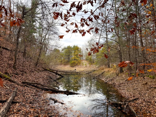 Lot 3 - The Woods at Turkey Run property photo