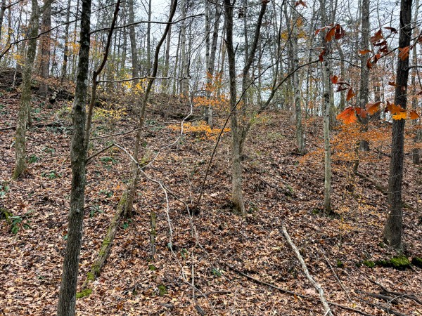 Lot 3 - The Woods at Turkey Run property photo