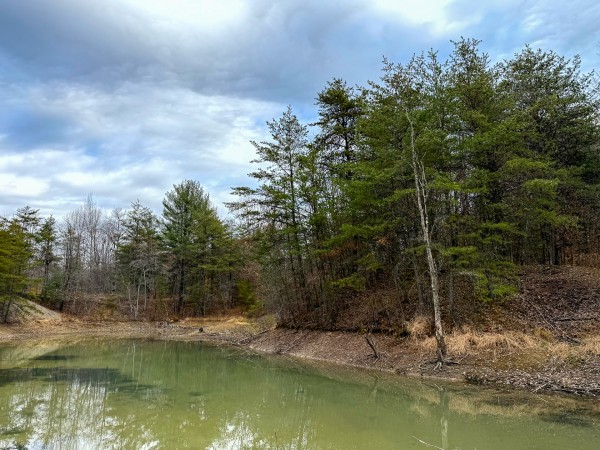 Lot 3 - The Woods at Turkey Run property photo