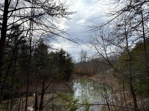 More of Lot 3 - The Woods at Turkey Run