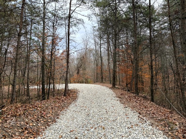 More of Lot 3 - The Woods at Turkey Run