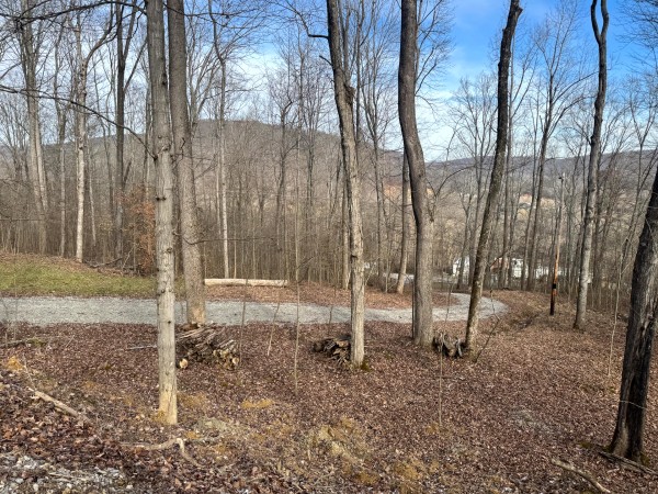 More of The Barn at Pike State Forest