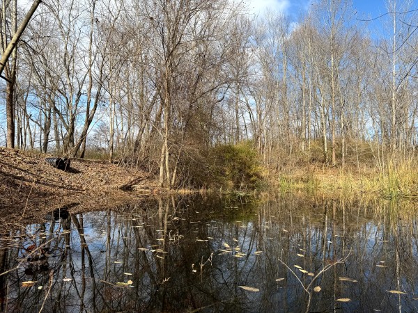 Lot 2 - The Woods at Turkey Run property photo