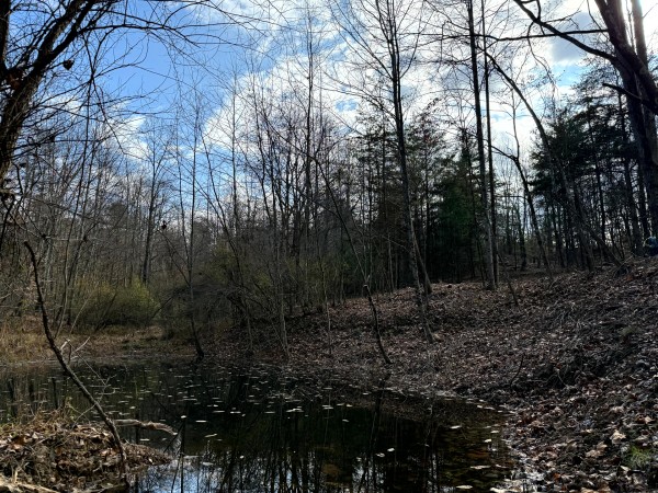 Lot 2 - The Woods at Turkey Run property photo