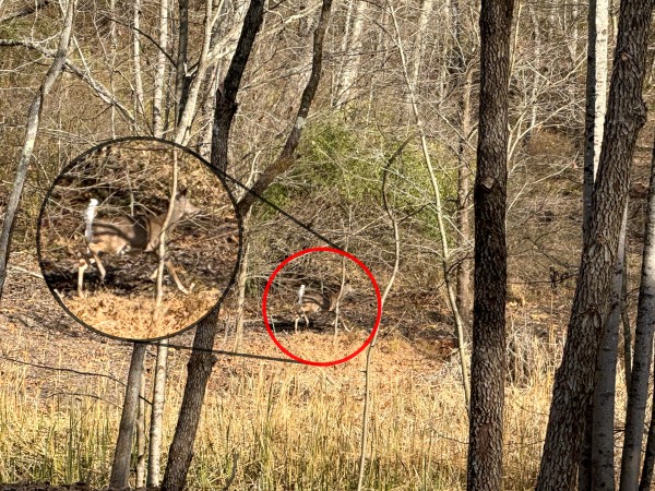 Lot 2 - The Woods at Turkey Run property photo