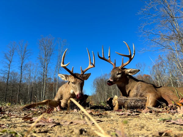 Lot 2 - The Woods at Turkey Run property photo
