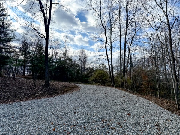 Lot 2 - The Woods at Turkey Run property photo