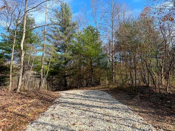 Lot 2 - The Woods at Turkey Run property photo