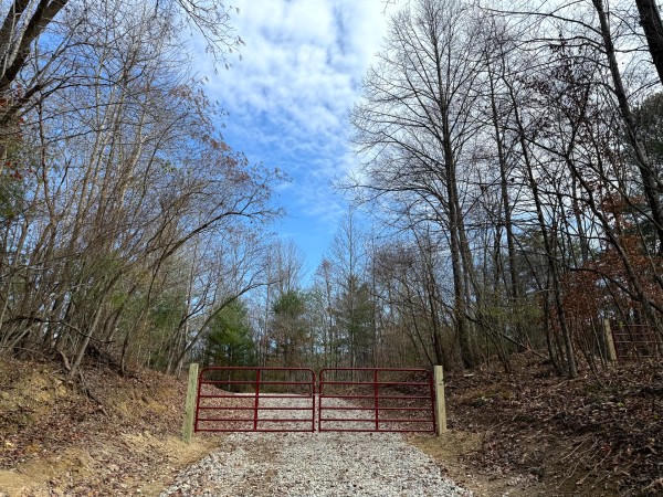 More of Lot 2 - The Woods at Turkey Run