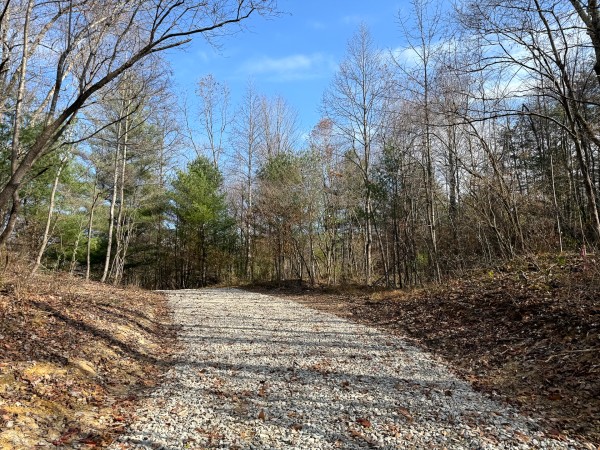 More of Lot 2 - The Woods at Turkey Run