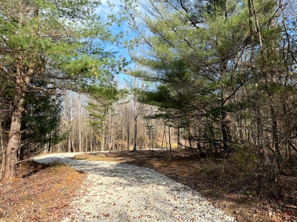 More of Lot 2 - The Woods at Turkey Run