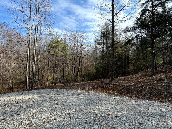 More of Lot 2 - The Woods at Turkey Run