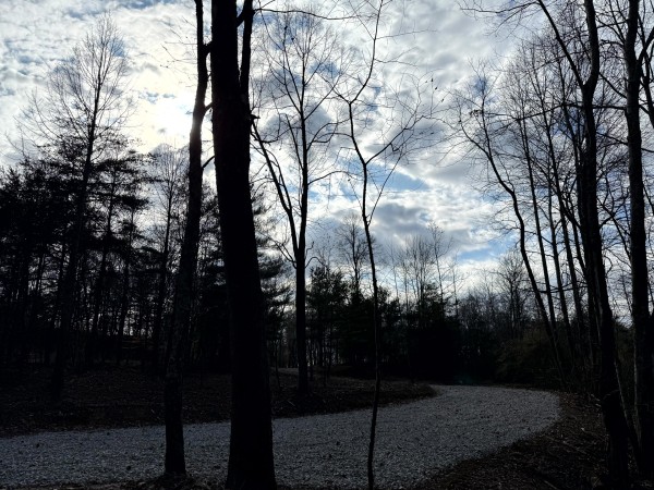 More of Lot 2 - The Woods at Turkey Run
