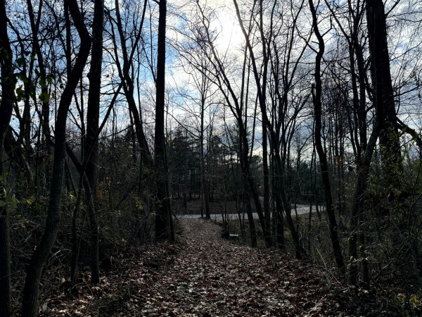 Lot 2 - The Woods at Turkey Run property photo