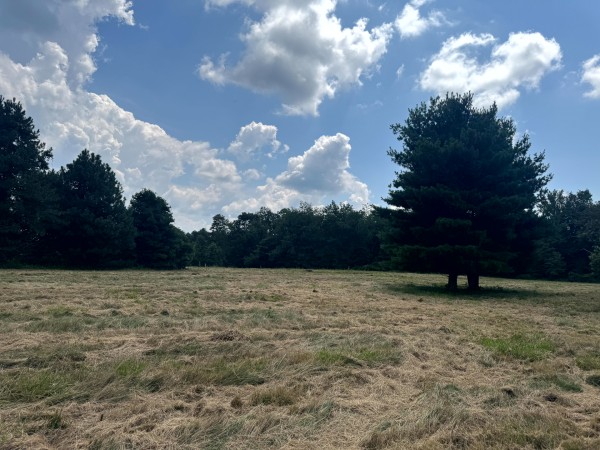 Tract 6 at Skyline Acres property photo