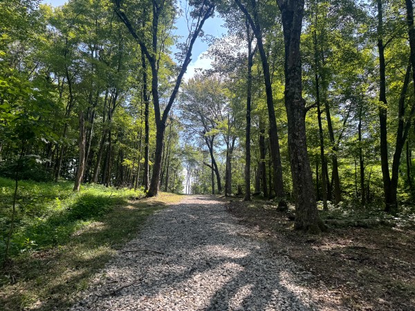 Tract 6 at Skyline Acres property photo