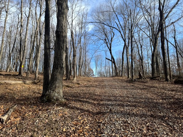 Tract 6 at Skyline Acres property photo