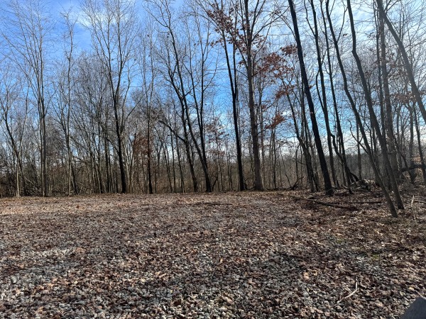 Tract 6 at Skyline Acres property photo
