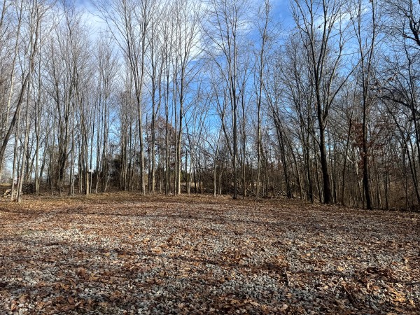 Tract 6 at Skyline Acres property photo