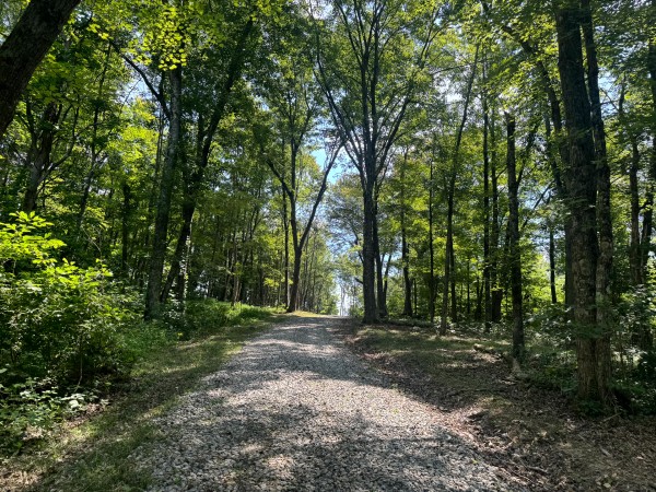 More of Tract 6 at Skyline Acres