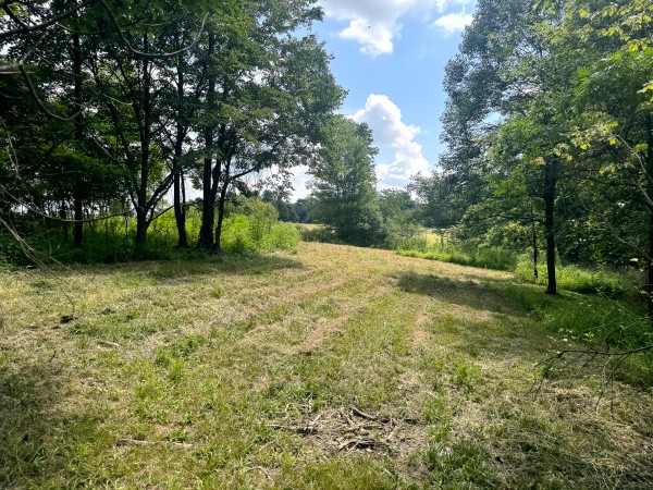 Tract 6 at Skyline Acres property photo