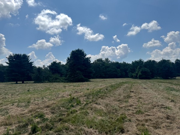 Tract 6 at Skyline Acres property photo