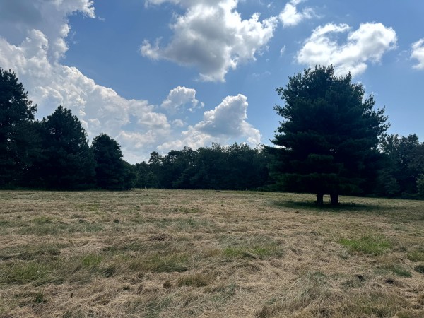 Tract 6 at Skyline Acres property photo